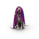 Pet Blanket - UK Printing Company