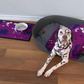Pet Blanket - UK Printing Company