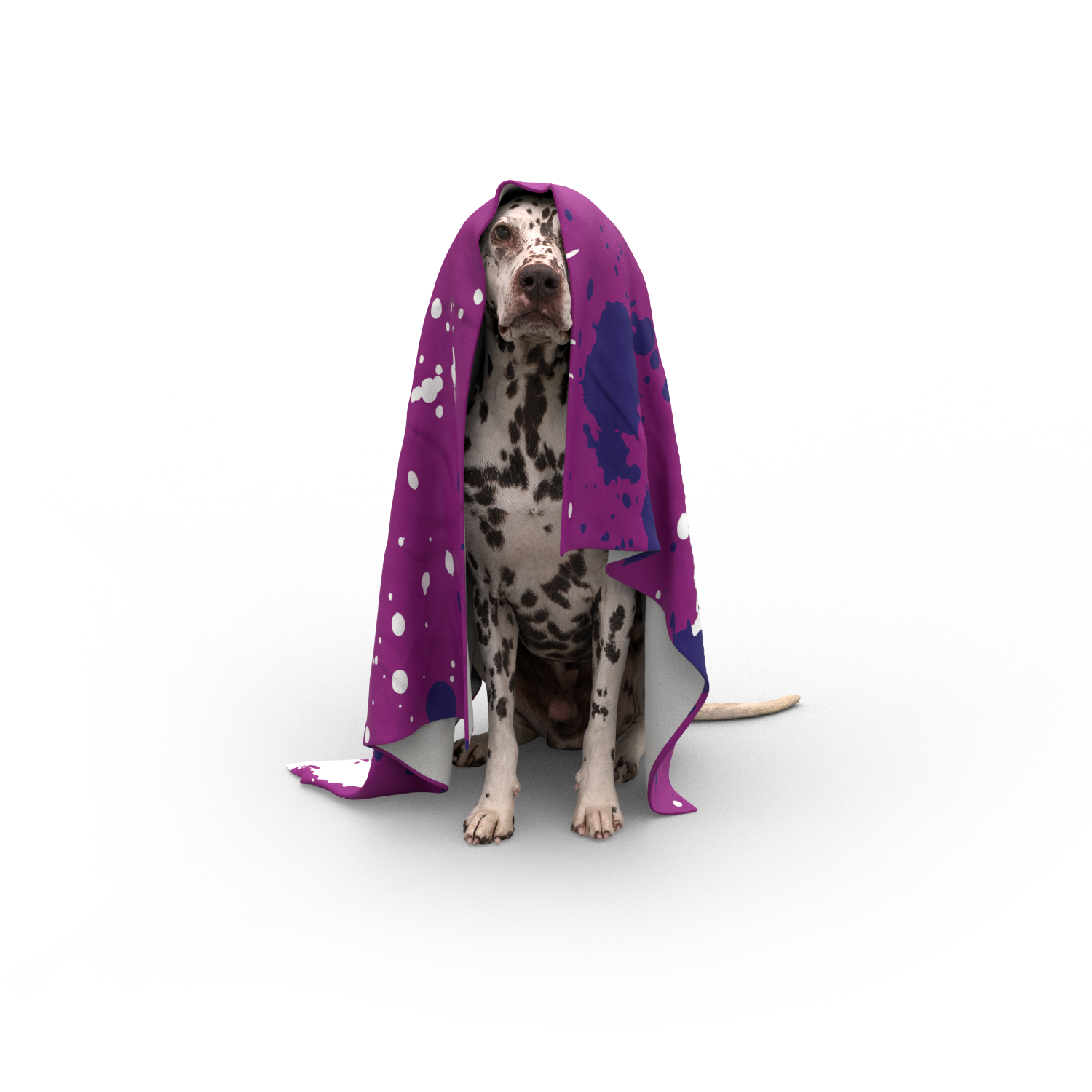 Pet Blanket - UK Printing Company